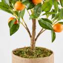 Künstliche Orange im Topf, Höhe 75 cm 