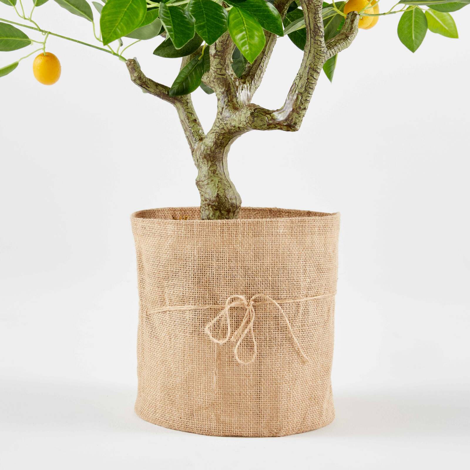 Künstlicher Zitronenbaum im Topf, Höhe 115 cm 