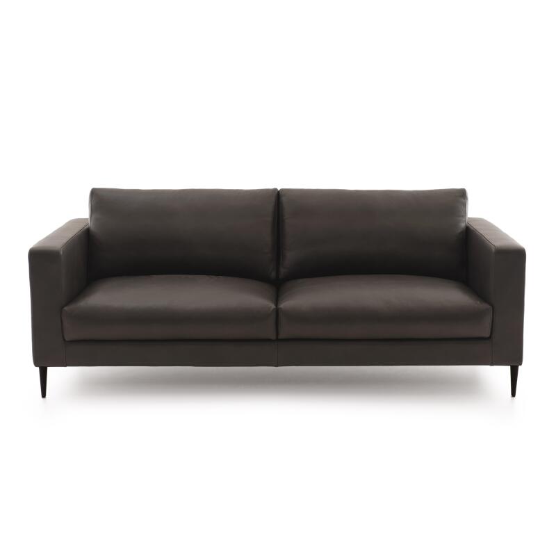 Dreisitzer-Ledersofa