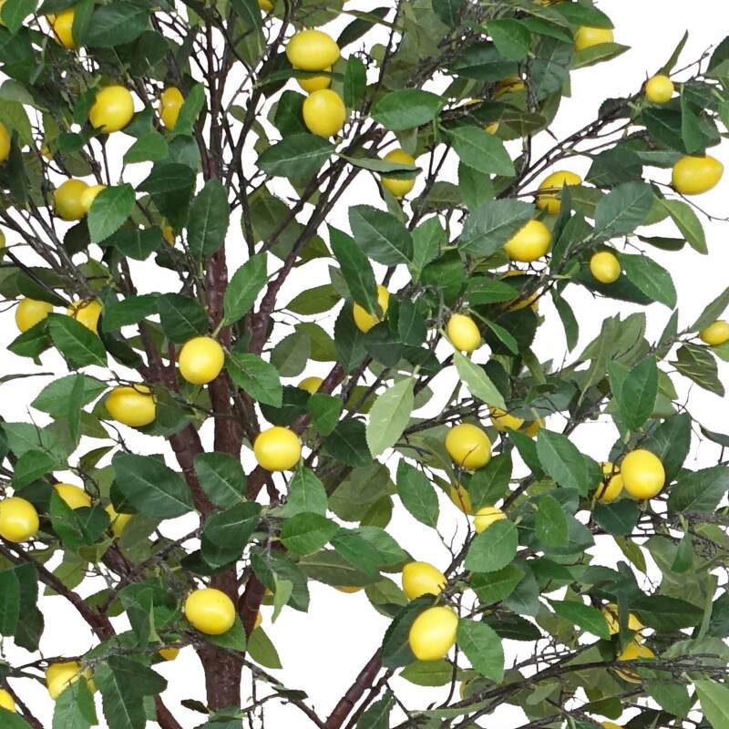 Künstlicher Zitronenbaum, Höhe 200 cm