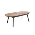 Ausziehbarer Gartentisch rechteckiger (220/280 x 100 x 76 cm) aus Aluminium und Polyholz