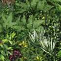 Künstliche grüne Wand Premium Botanischer Garten drinnen und draußen 100x100 cm