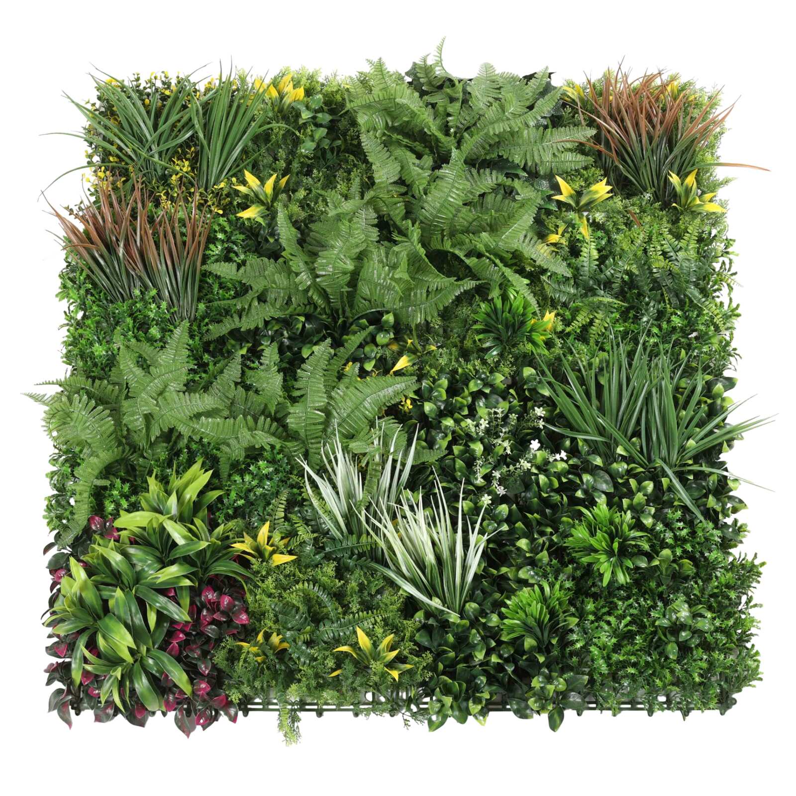 Künstliche grüne Wand Premium Botanischer Garten drinnen und draußen 100x100 cm