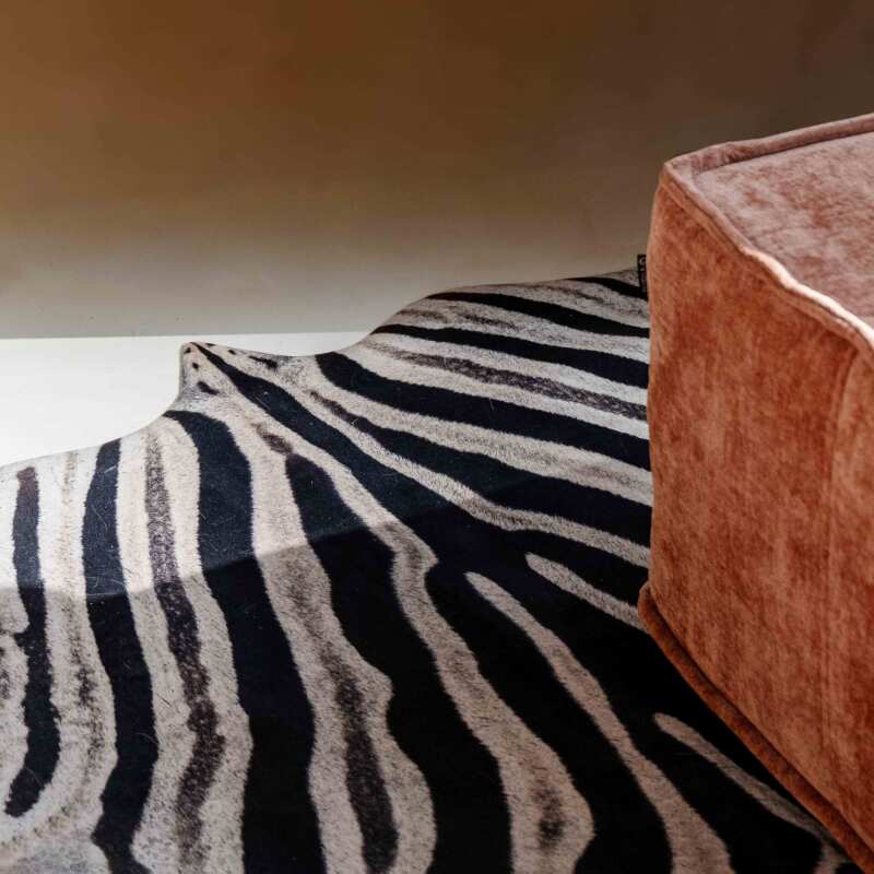 Teppich Zebrafell-Imitat, 155x190 cm (2/5)