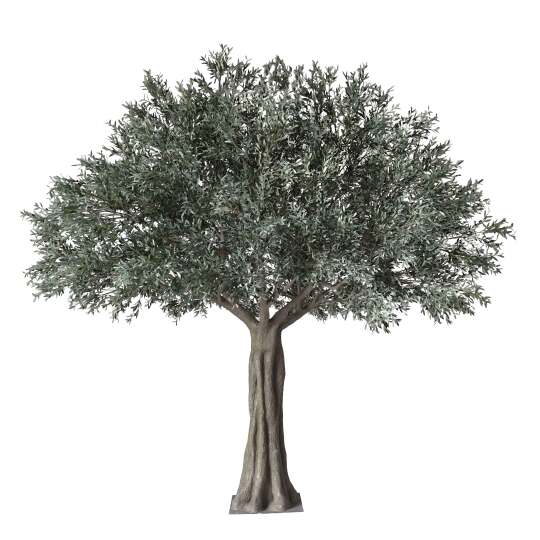Künstlicher Olivenbaum , Höhe 360 cm | Oviala