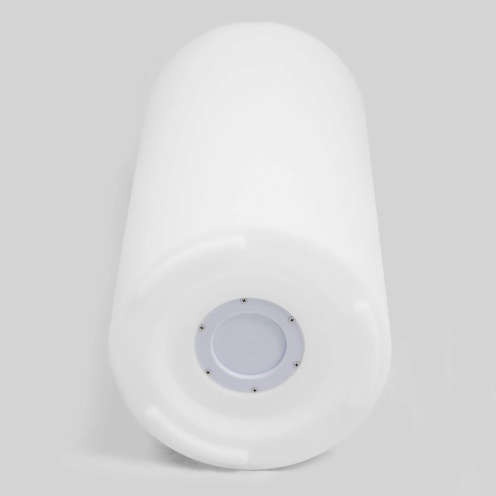 Leuchtender LED-Blumentopf (ø40 x 89 cm)