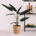 Künstliche Strelitzia im Topf, Höhe 90 cm 