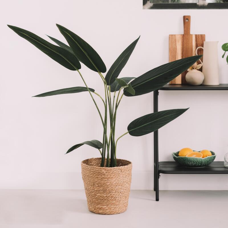 Künstliche Strelitzia im Topf, Höhe 90 cm 