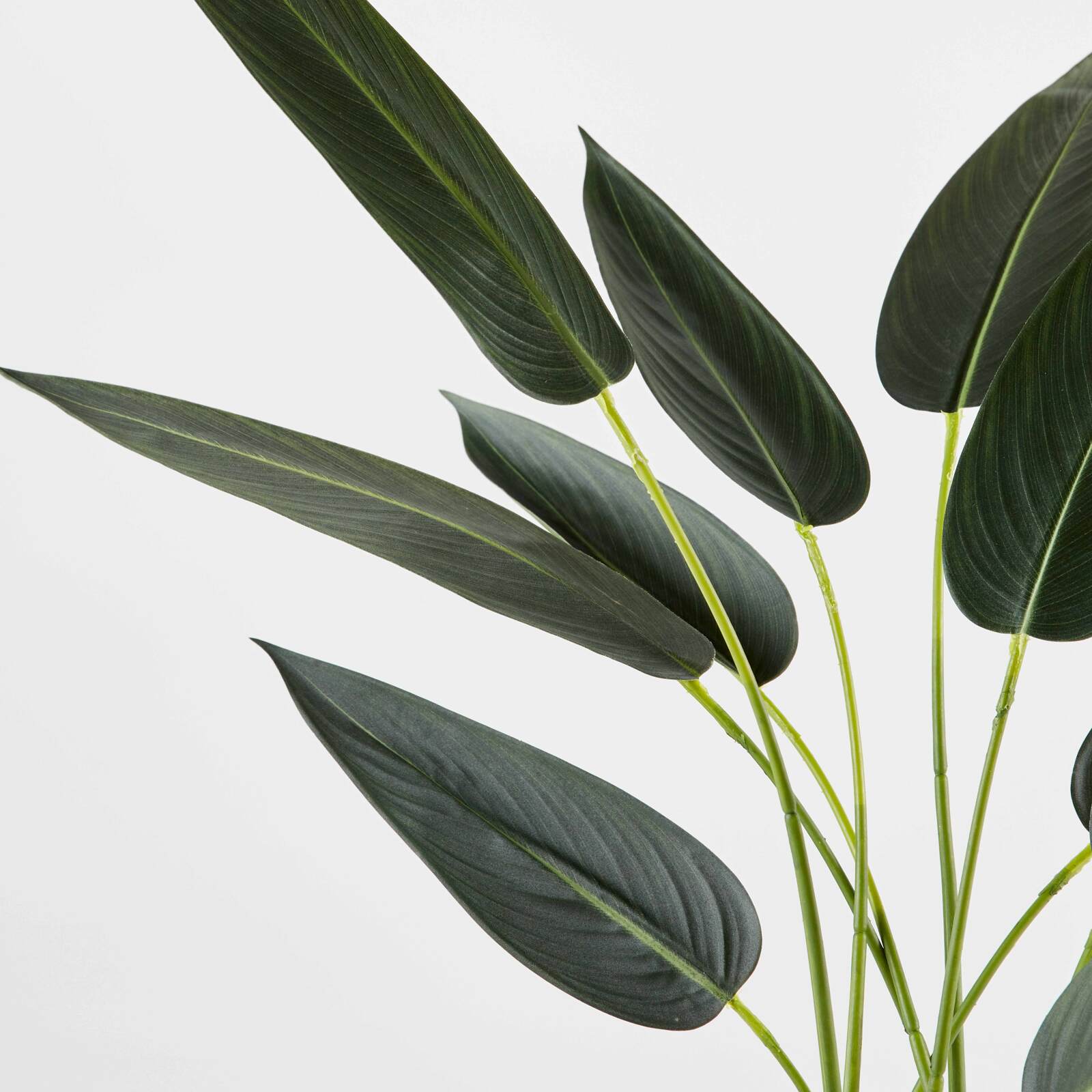 Künstliche Strelitzia im Topf, Höhe 90 cm 