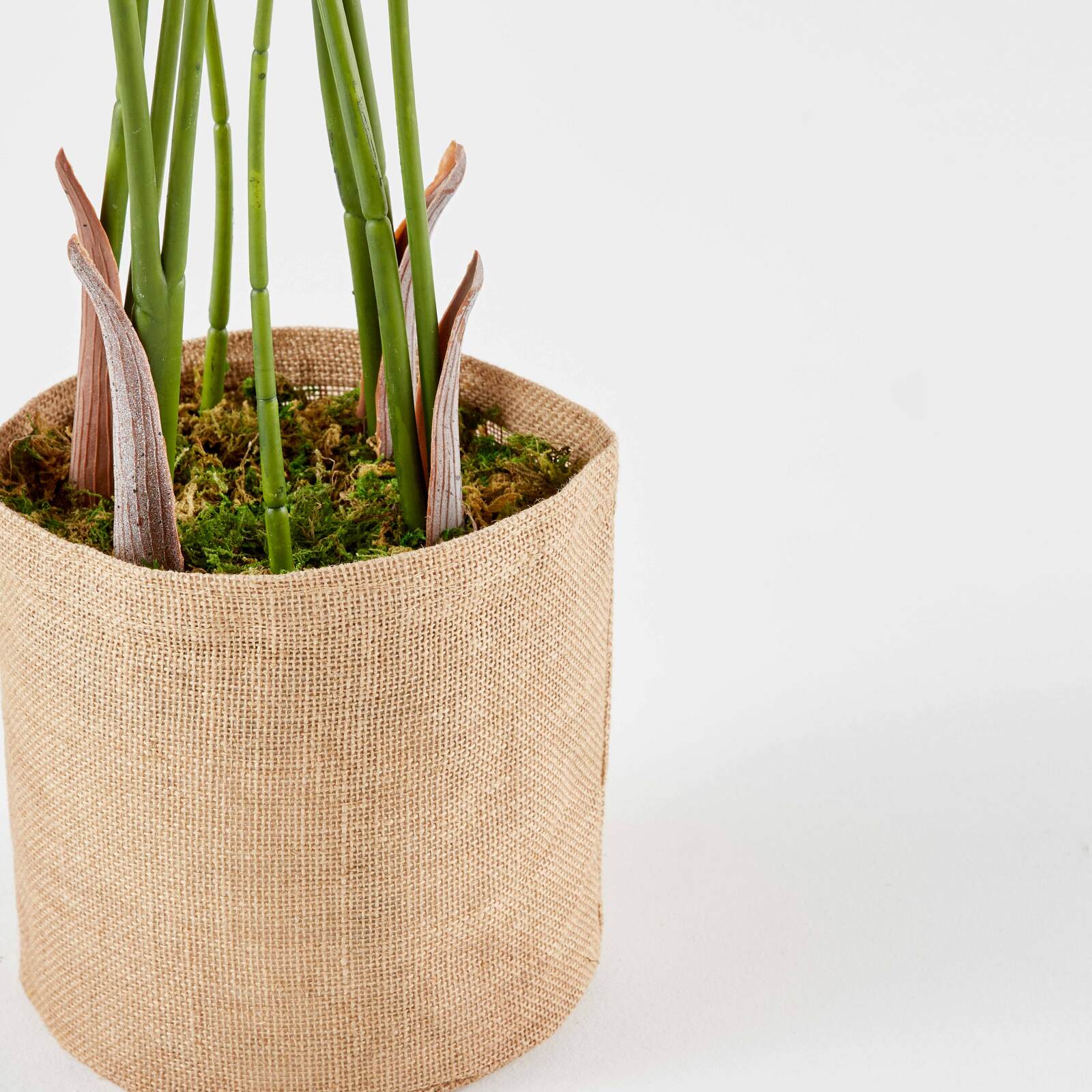 Künstliche Strelitzia im Topf, Höhe 90 cm 