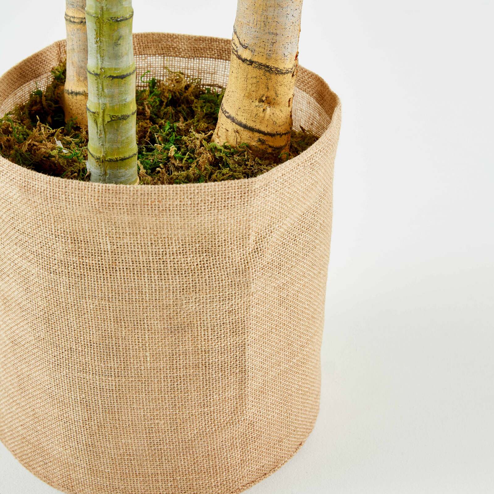 Künstliche Palme im Topf, Höhe 210 cm 