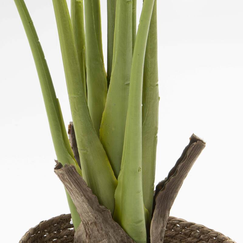 Künstliche Monstera Deliciosa im Topf, Höhe 90 cm 