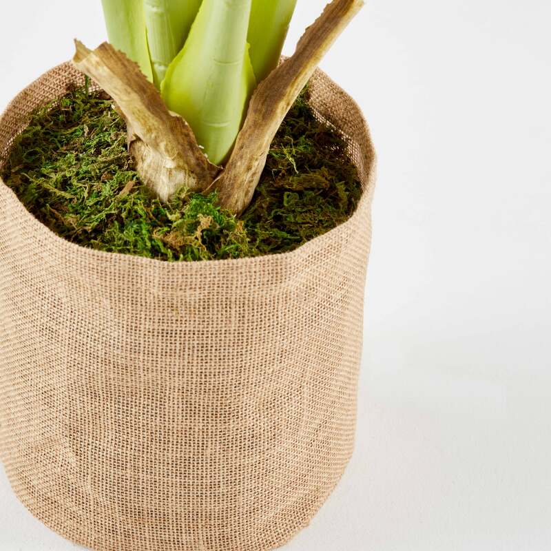 Künstliche Monstera Deliciosa im Topf, Höhe 90 cm 