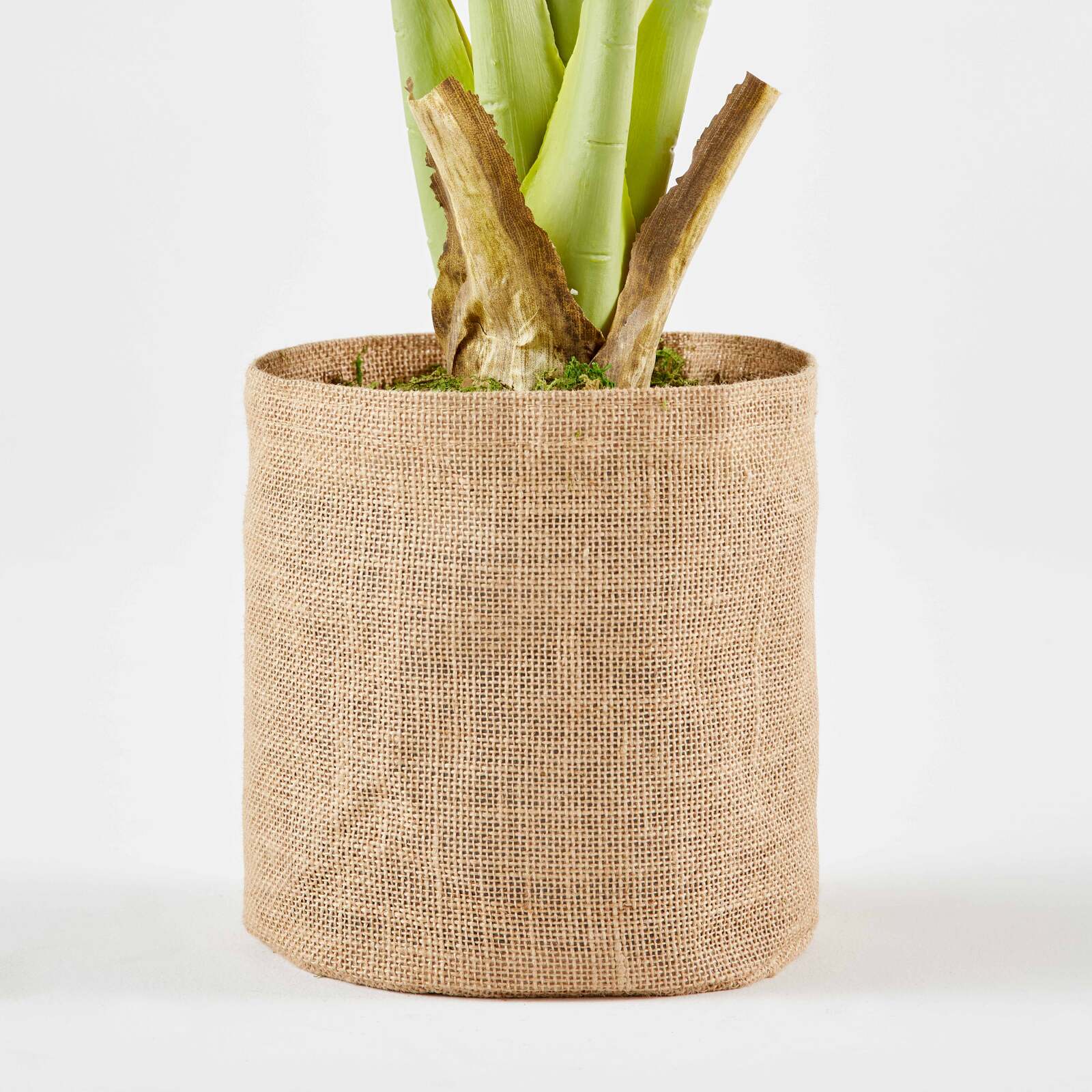 Künstliche Monstera Deliciosa im Topf, Höhe 90 cm 