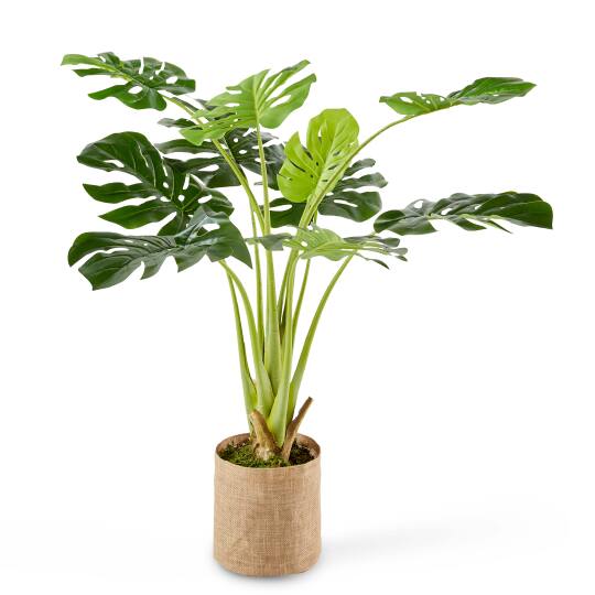 Künstliche Monstera Deliciosa im Topf, Höhe 90 cm