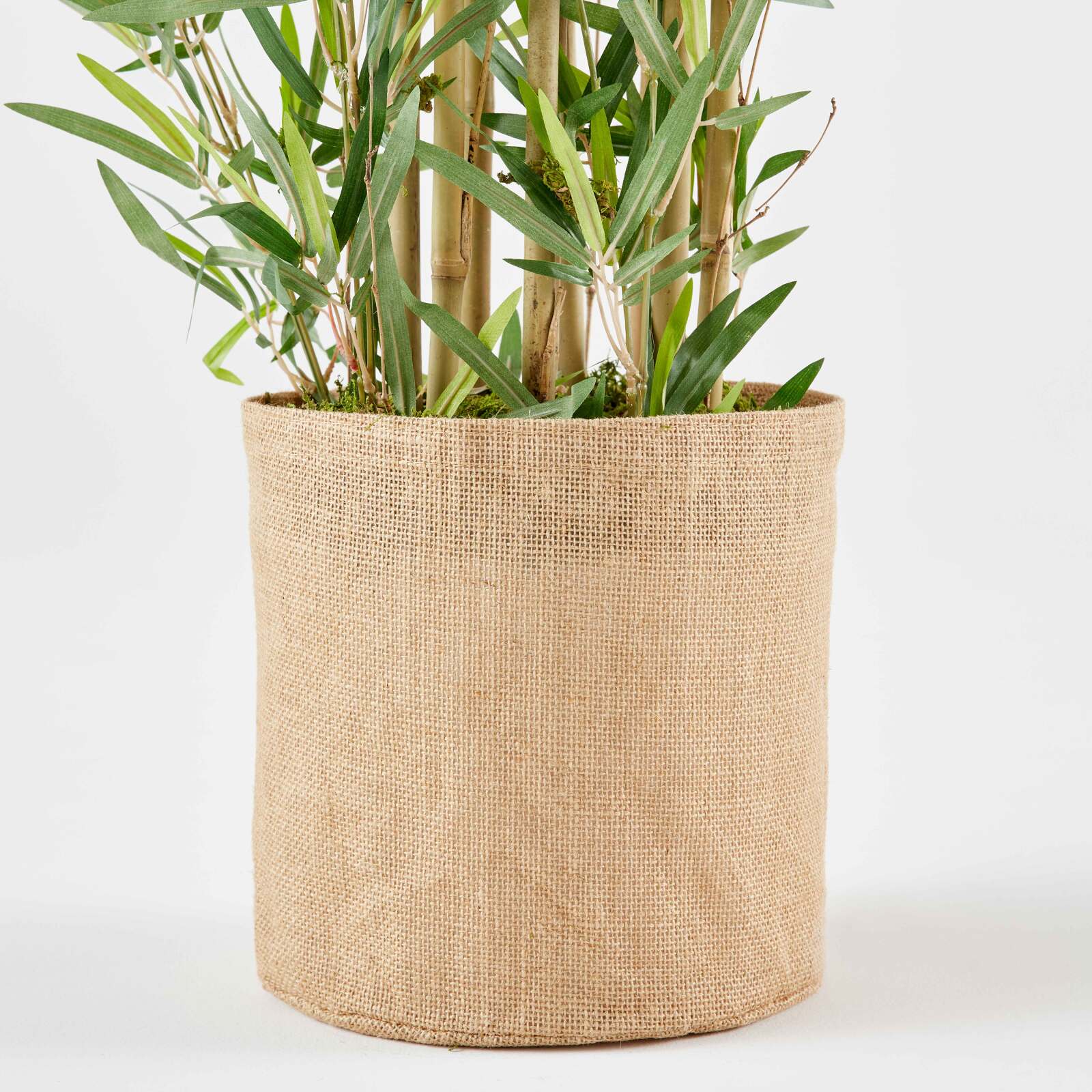 Künstlicher Bambus im Topf, Höhe 170 cm 