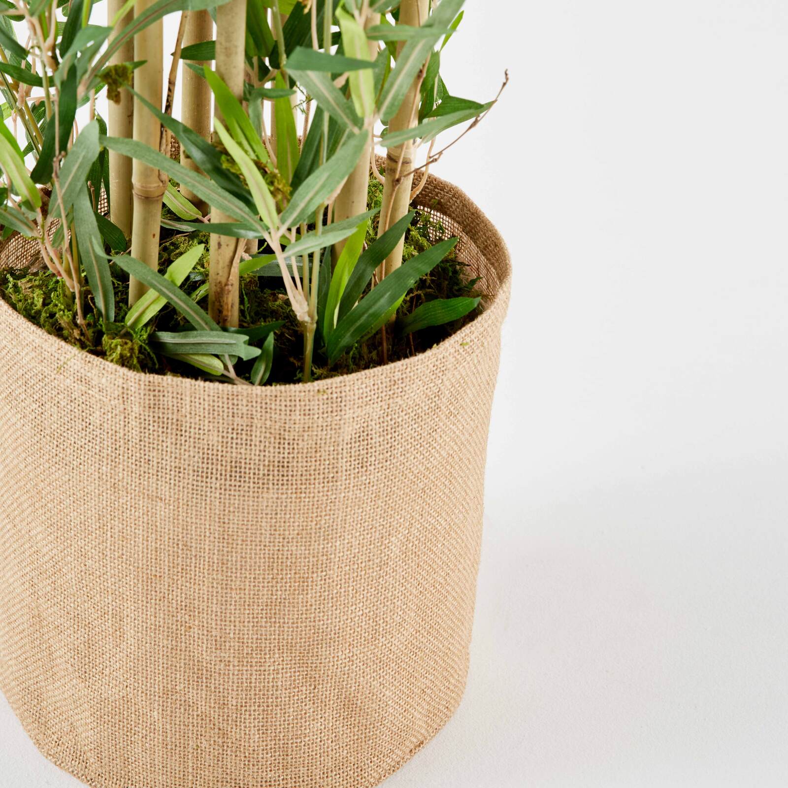 Künstlicher Bambus im Topf, Höhe 170 cm 