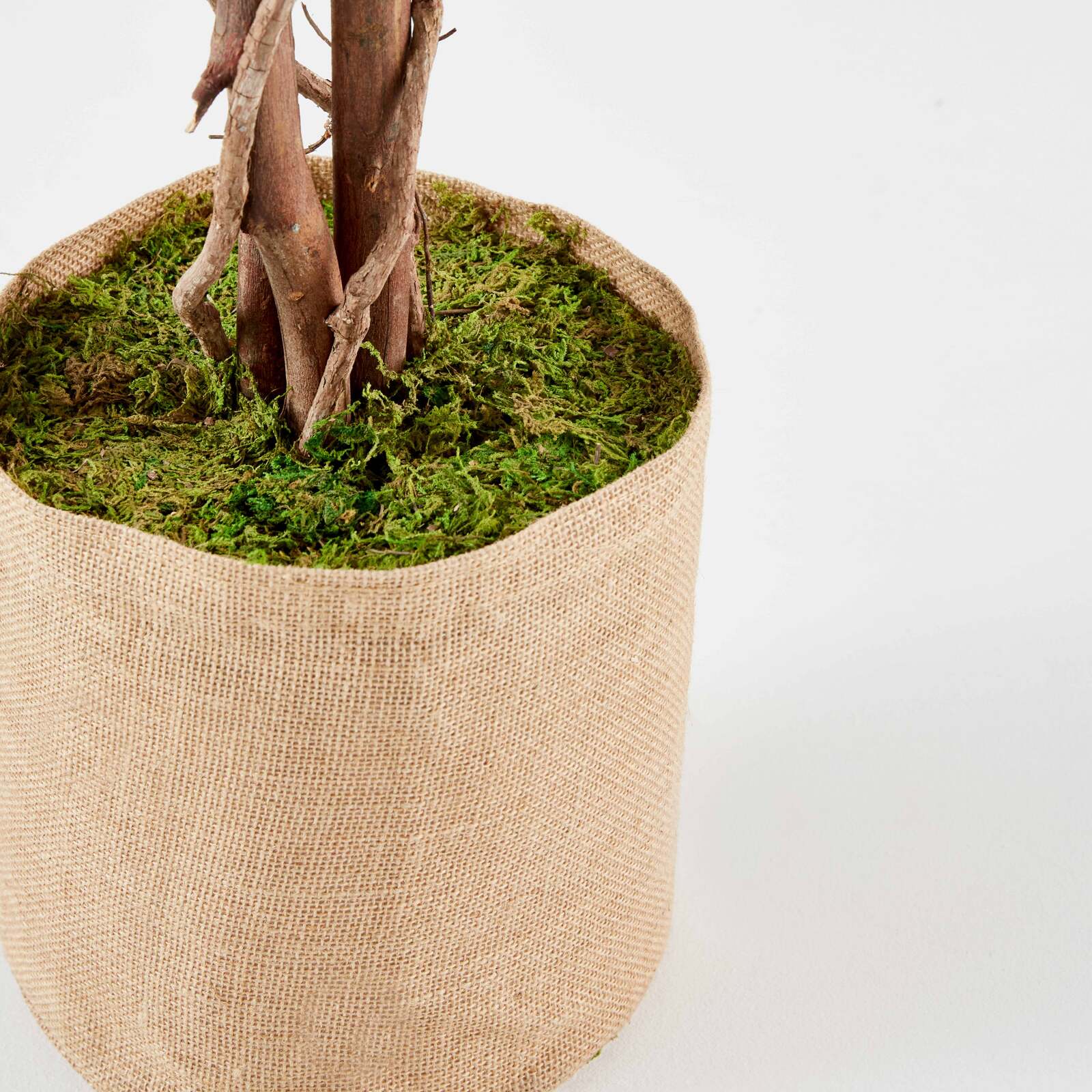 Künstlicher Feigenbaum im Topf, Höhe 180 cm 