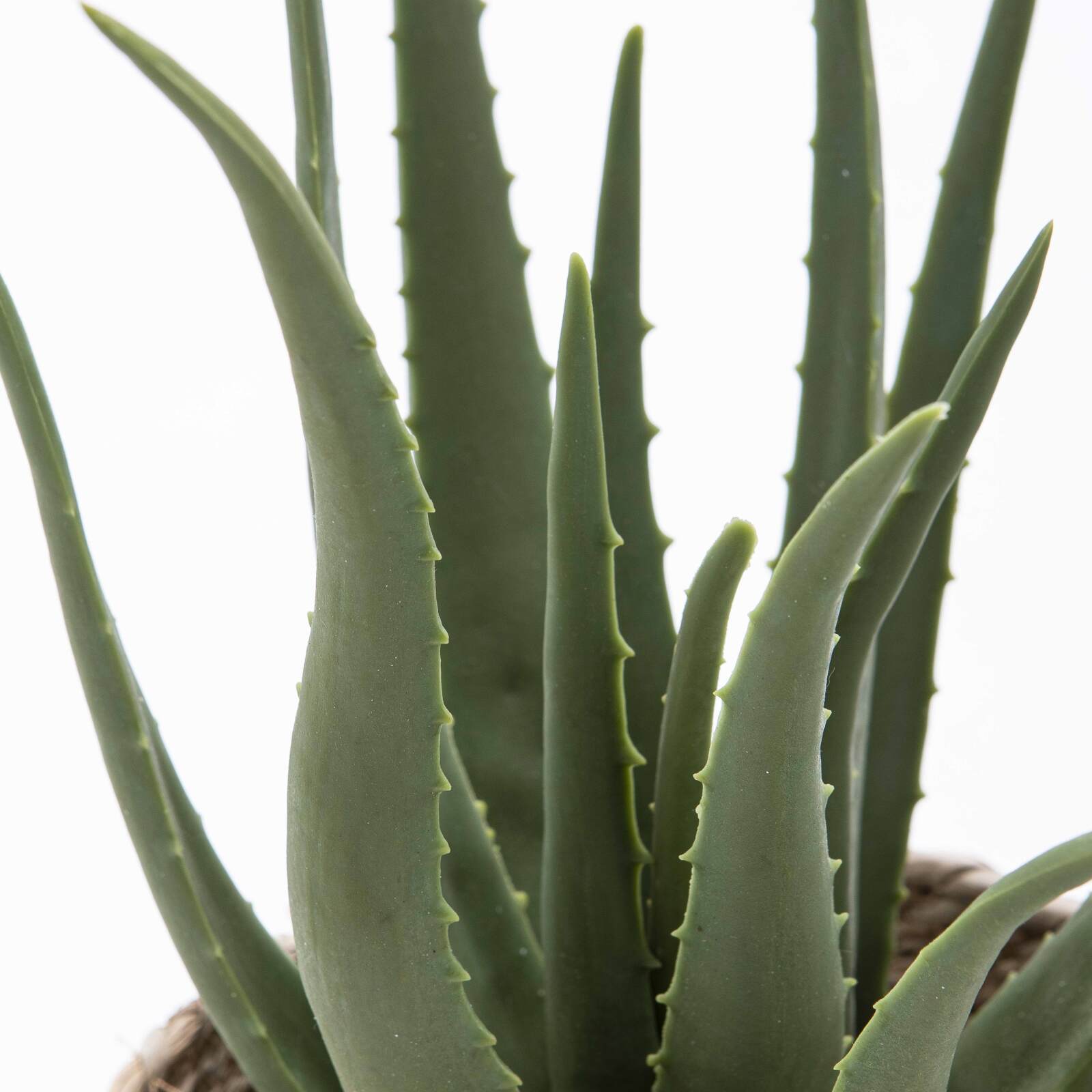 Künstliche Aloe vera in einem Topf, Höhe 43 cm 