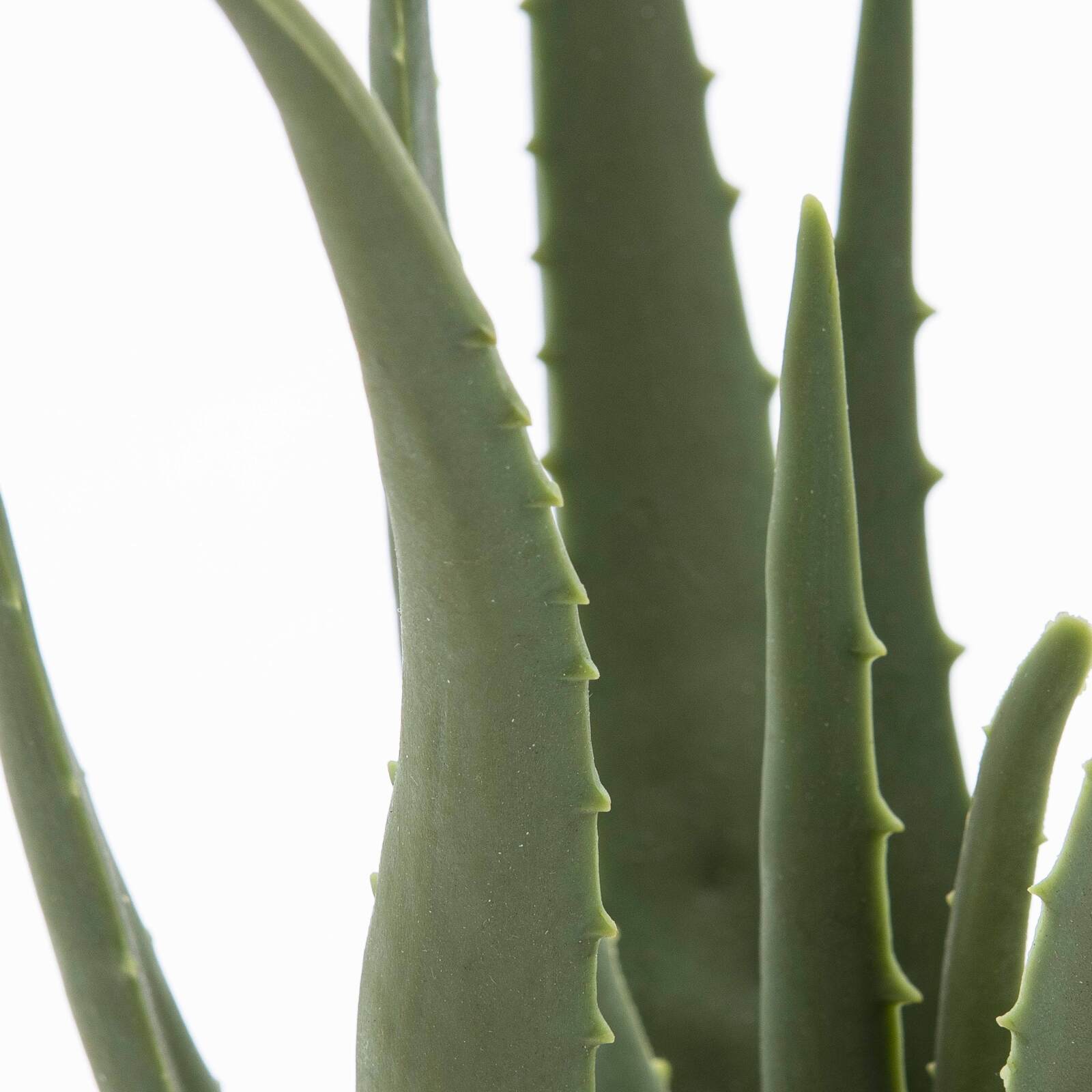 Künstliche Aloe vera in einem Topf, Höhe 43 cm 