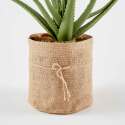 Künstliche Aloe vera in einem Topf, Höhe 43 cm 