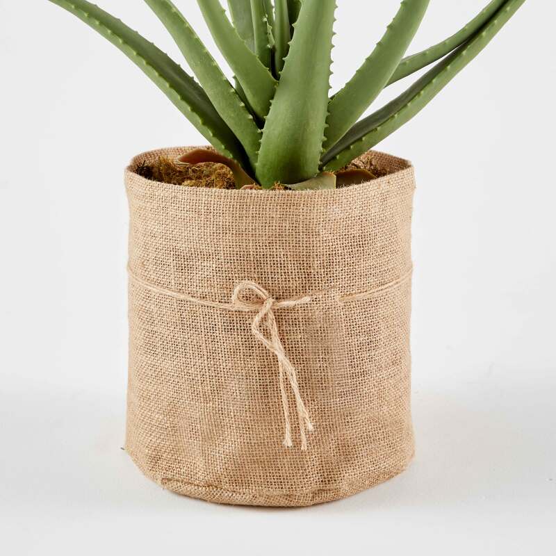 Künstliche Aloe vera in einem Topf, Höhe 43 cm 