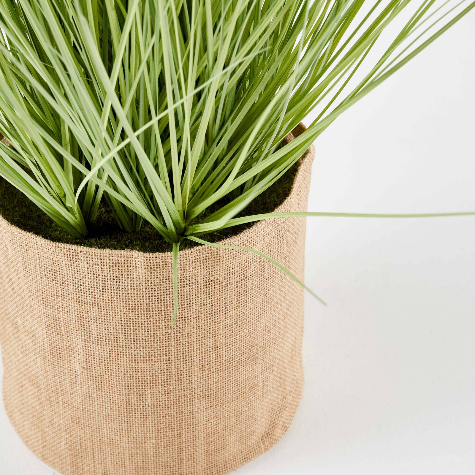 Künstliches Pennisetum im Topf, Höhe 75 cm 