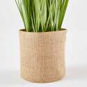 Künstlicher Juncus im Topf, Höhe 95 cm 