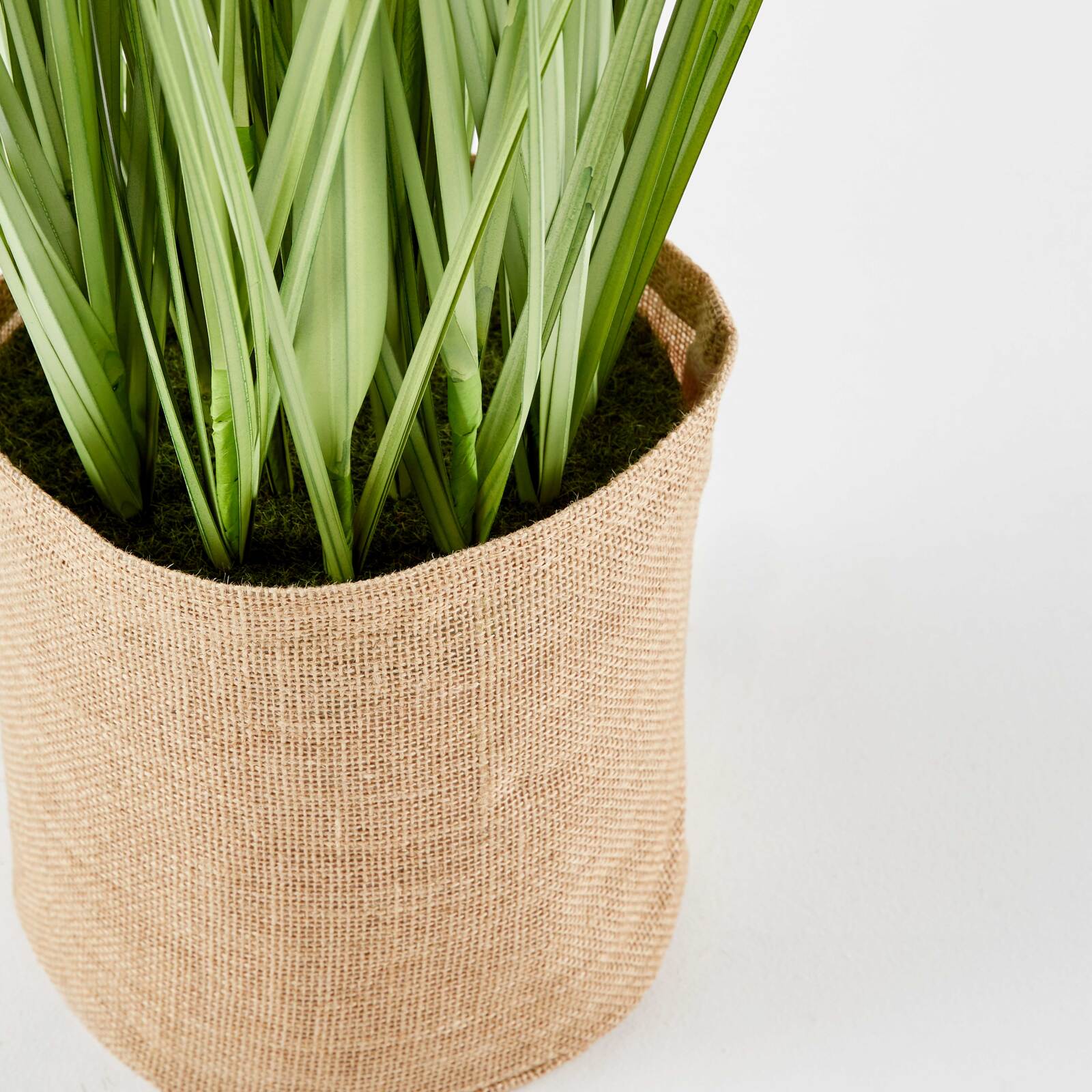 Künstlicher Juncus im Topf, Höhe 95 cm 