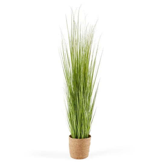 Künstlicher Miscanthus im Topf, Höhe 185 cm