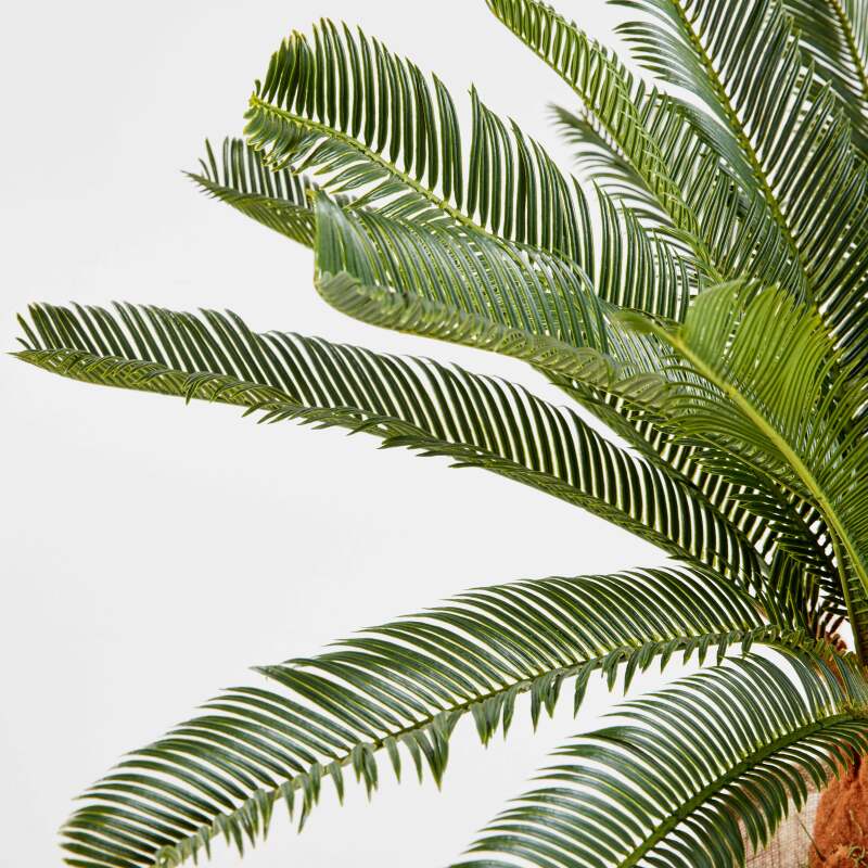 Künstliche Cycas in einem Topf, Höhe 65 cm 