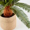 Künstliche Cycas in einem Topf, Höhe 65 cm 