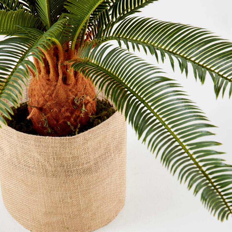 Künstliche Cycas in einem Topf, Höhe 65 cm 