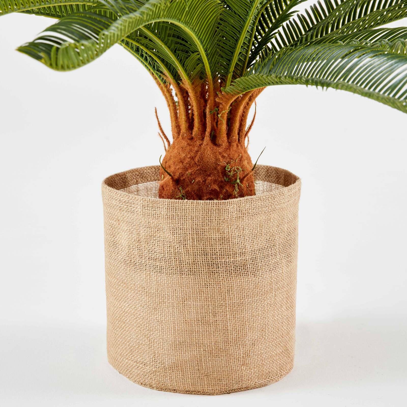 Künstliche Cycas in einem Topf, Höhe 65 cm 